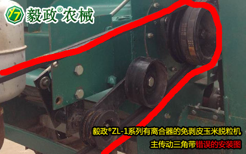 毅政牌ZL1系列有離合器的免剝皮玉米脫粒機(jī)，主傳動三角帶錯誤安裝
