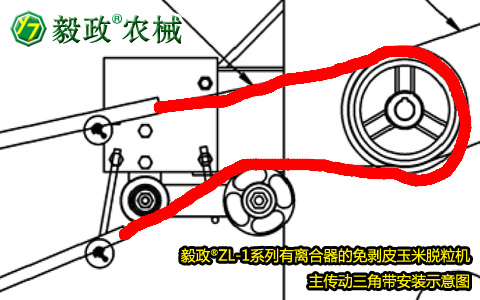 毅政牌ZL1系列有離合器的免剝皮玉米脫粒機(jī)，主傳動三角帶正確安裝